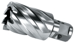 fraise-30-mm-829
